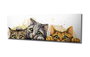 Wallity PC296 Lienzo Decorativo Multicolor 30 x 80 cm